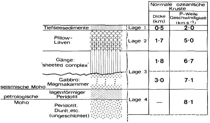 Die ozeanische Kruste mit typischer Ophiolithfolge